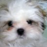 さっちん's profile picture