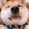 さわーめろん🍈's profile picture