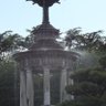 是金's profile picture