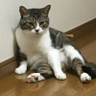 Kazuhiro DAYON 的头像