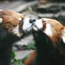 マコトトロ profil fotoğrafı