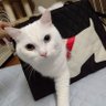 えっこちゃん♥ profil fotoğrafı