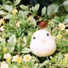 とわだこたざわこ's profile picture