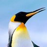 Фото профиля 空飛ぶペンギン