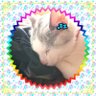 マカルUFOキャッチャー profil fotoğrafı