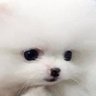 iinm's profile picture