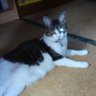 Profilbild von 😎ひろおじさん📫🤔🐒🐌🐕🦺