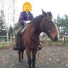 SOMEおん🏇's profile picture