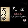 Фото профиля 🥒たぁ(ガッパ隊) あだ名バスターミナル