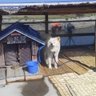 ワッキー profil fotoğrafı