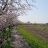 さと profil fotoğrafı