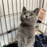 あみ。 的头像