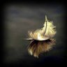 Фото профиля GoldFeather