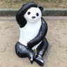 ●たまこ● 的头像