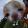 Mimie profil fotoğrafı