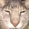 Profilbild von R
