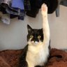qwert's profile picture