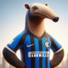Formichiere Campione ⭐️⭐️ profil fotoğrafı