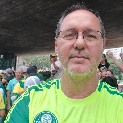 Valdecirdelecl1's profile picture