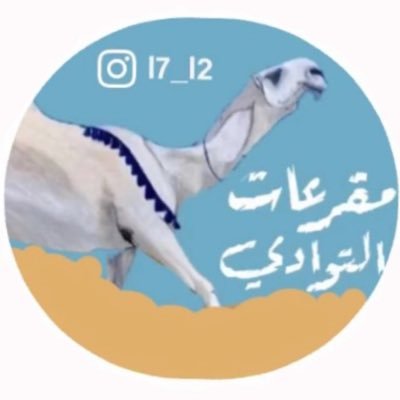 l7_l2i's profile picture