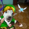 Фото профиля El perrito del tiempo