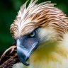Alexander's profile picture