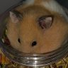 wgh5258's profile picture