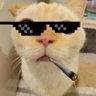 Profilbild von Char Rao