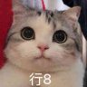 哦哦 的头像