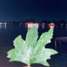 Akash Mir's profile picture