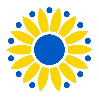 Liberty Ukraine Foundation 🇺🇸🇺🇦's profile picture
