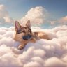 Фото профиля All Dogs Go to Heaven