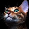 Bob Jack's profile picture