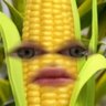 popcorn 的头像