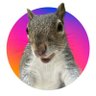 Dutch's profile picture