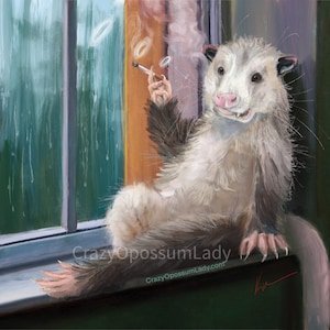 AngryPossum69's profile picture