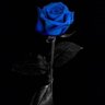 ❤🤗SERIOUSLOVER🤗❤ profil fotoğrafı