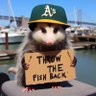KayCie 🦈's profile picture