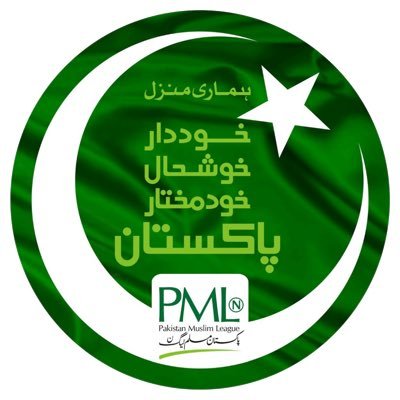 PMLN Digital's profile picture