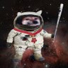 Space Fella 🇺🇦 △ profil fotoğrafı