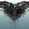Coin Eagle🦅 profil fotoğrafı