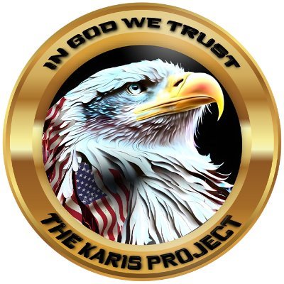 TheKarisProject's profile picture
