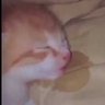 eepy profil fotoğrafı