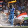 Фото профиля Mrityunjay Rajput