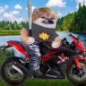 Фото профиля RockRebellin🇩🇪🇵🇱🇺🇦🗺💯