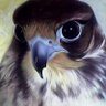 Smmm+974🇶🇦alqatarXxxxx's profile picture