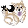 犬マル🦀❤🐏🍙🐧💎's profile picture