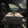 Фото профиля 🐯金虎爺💵財務公司💰總經理