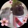 gera☆'s profile picture