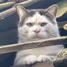 НЕ ВАЖНО profil fotoğrafı